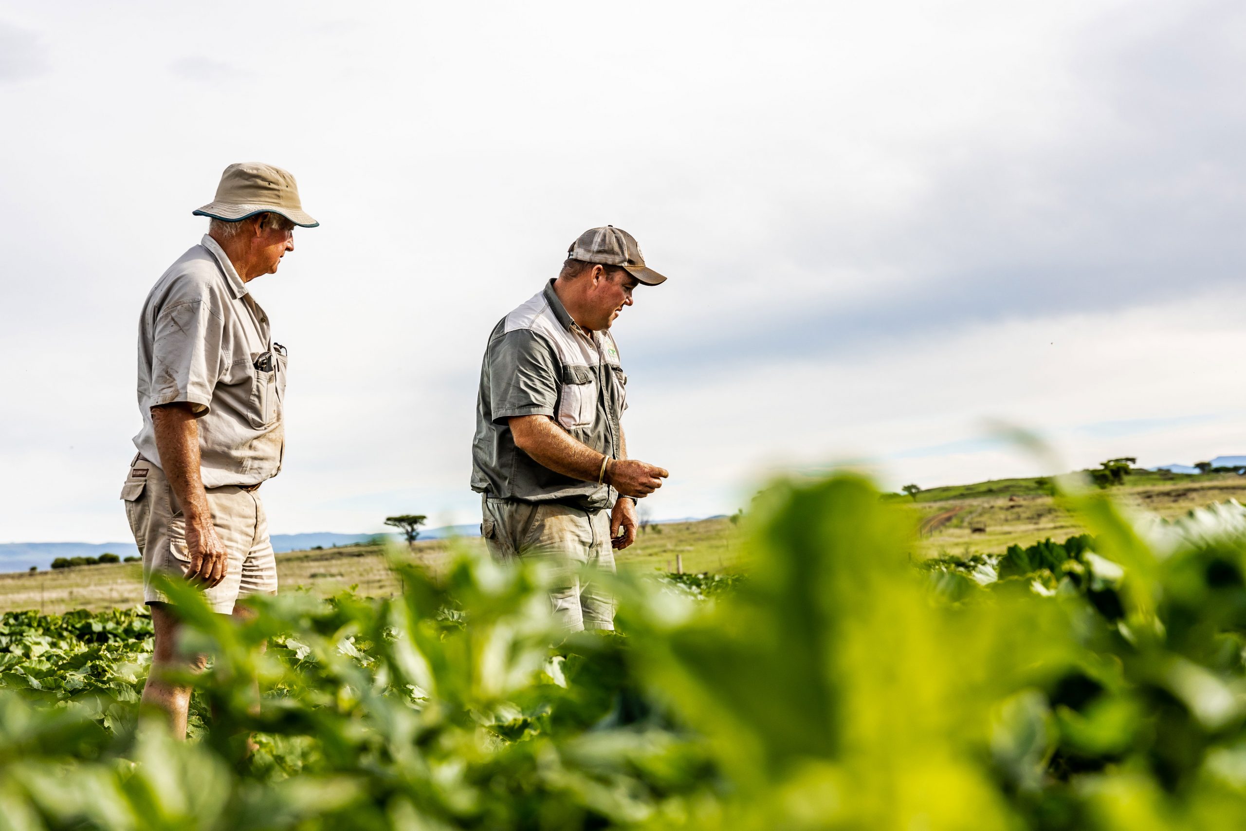 Die eienaar van DT Boerderytrust, Dieter Schroder, en skoonseun Ross Braithwaite.