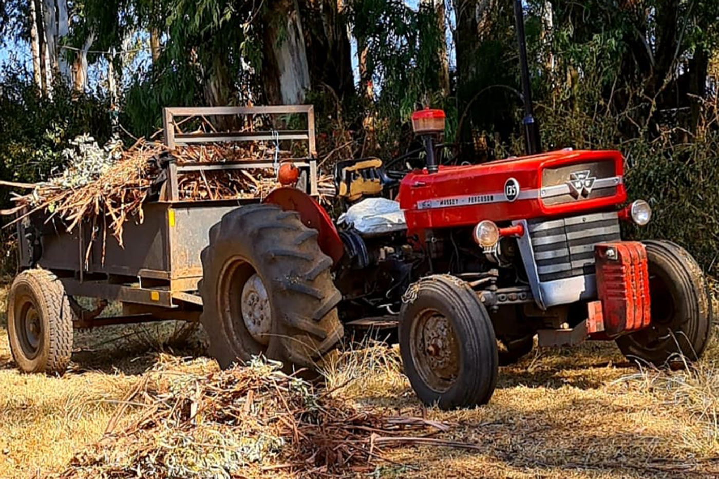 MF 135 bought by Donie's father in 1983 