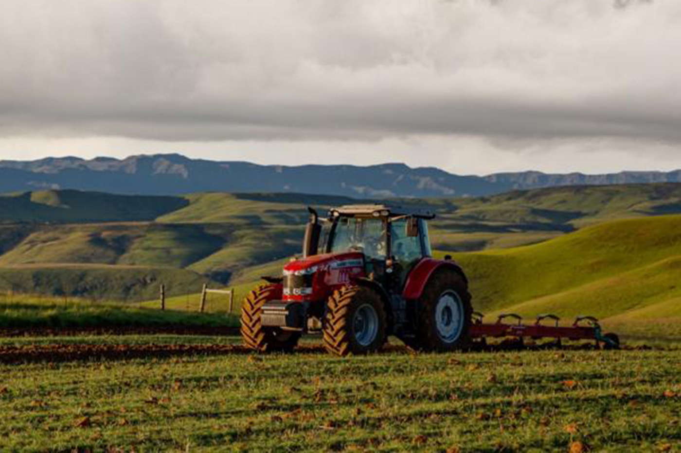 MF 7618 working on Nuade Broers Farm