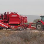 Massey Ferguson se 7S, 210-trekker trek die Grimme-aartappeluithaler lag-lag deur die sandveld.