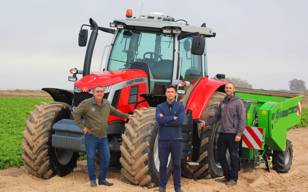 Massey Ferguson in the Sandveld, Western Cape.