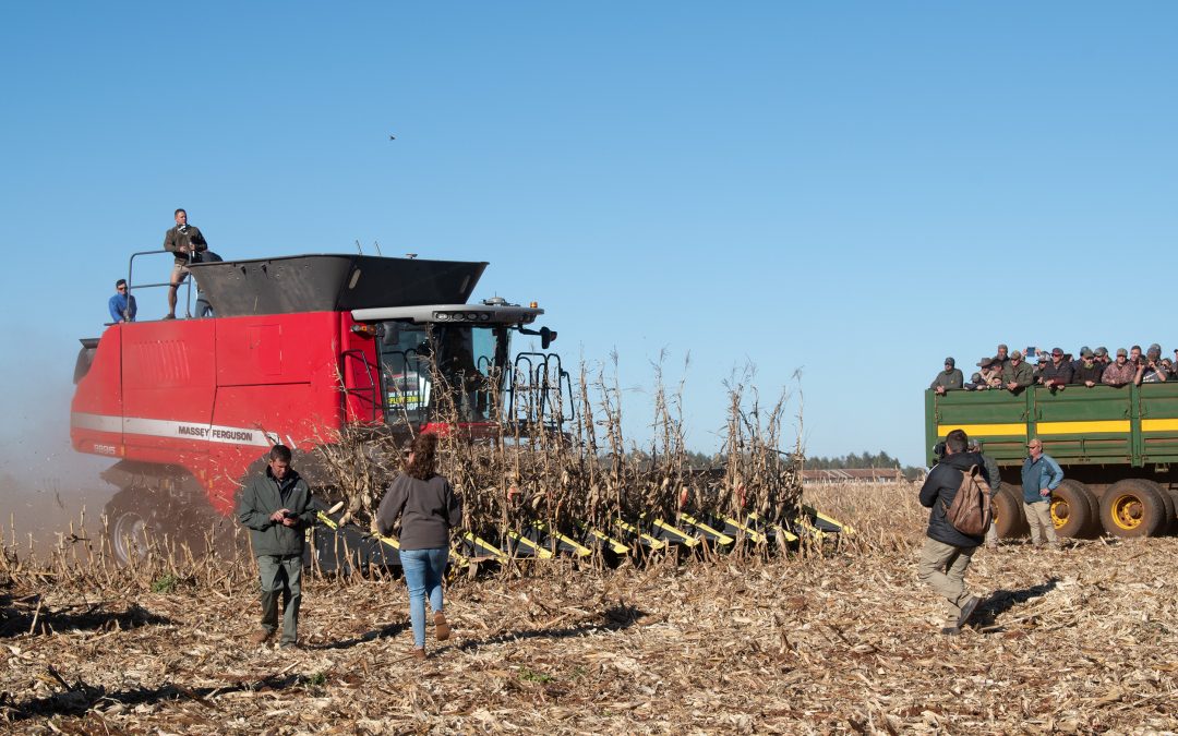 Massey Ferguson se 9895-stroper verskyn weer by die jaarlikse stroperresies