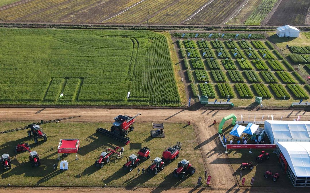 massey-ferguson-die-moderne-boer-by-nampo-kaap-2024