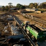 The Valtra tractor used in the feedlot to feed the cattle.