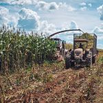 Valtra tractors harvesting forage for silage