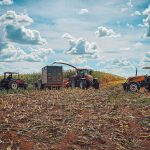 Valtra tractors harvesting forage for silage
