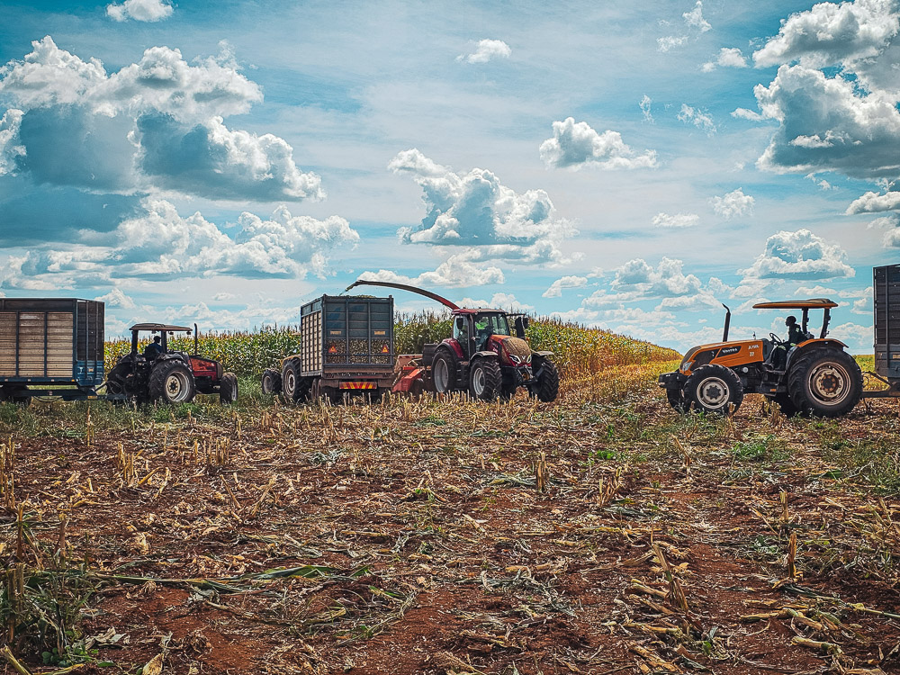 Valtra tractors harvesting forage for silage