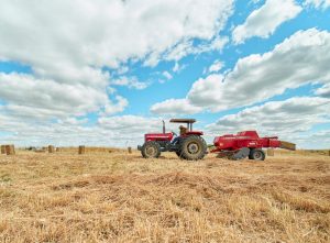 Ralph calls the Massey Ferguson 1840 small square baler, paired with the time-tested Massey Ferguson 290 tractor a perfect harmony.