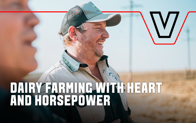Dairy farming with HEART AND HORSEPOWER in the Central Drakensberg